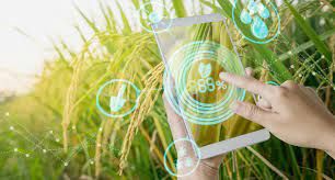 Odoo - Sample 1 for three columns